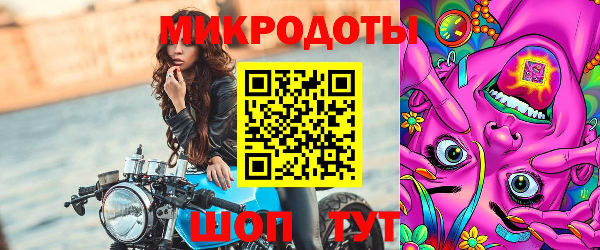 Псилоцибиновые грибы Psilocybe Ижевск