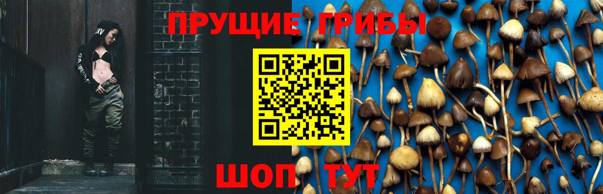 Псилоцибиновые грибы Magic Shrooms  Галлюциногенные грибы Cubensis  Ижевск  Вход с VPN 